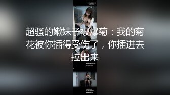 91经典系列资源整理合集P2【105V】 (19)