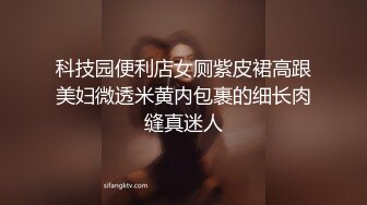 科技园便利店女厕紫皮裙高跟美妇微透米黄内包裹的细长肉缝真迷人