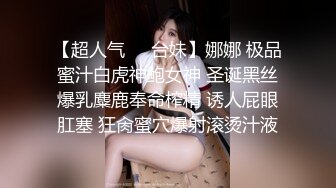 你们的女神不过是我的炮架