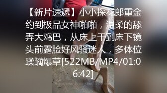 【麻豆传媒】mdhg-0016 在天桥上的享乐者-言欣恬