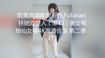 欧美高清唯美系列 Futanari 扶她双性人（非TS）美女有根仙女棒4K高清合集 第二季  (7)