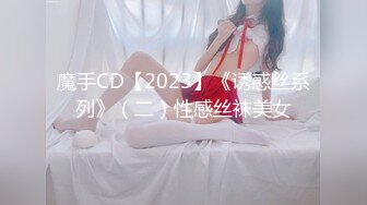 魔手CD【2023】《诱惑丝系列》（二）性感丝袜美女