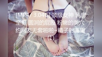 我是探索者 3