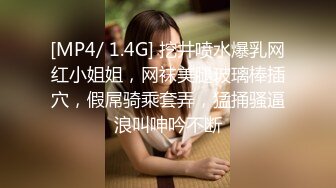 [MP4]麻豆传媒-少年阿宾第六章 新母女关系 苏娅、沈娜娜