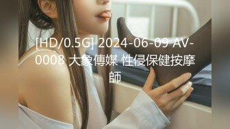 [HD/0.5G] 2024-06-09 AV-0008 大象傳媒 性侵保健按摩師