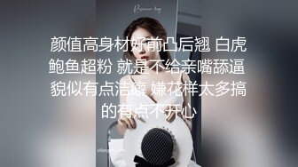 我的性奴嫂嫂2