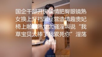 自拍的乐趣，无套后入，每次看都湿-车震-骚货