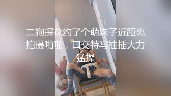 ⚡⚡云盘高质泄密，技术职校无毛粉穴露脸美少女与同居男友出租房大玩性爱自拍，淫骚反差女