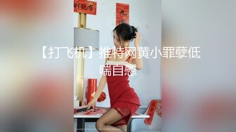 【香蕉视频】jdsy-025 台湾女网红被骗缅北下海拍片