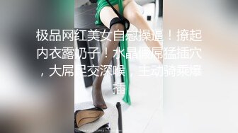 极品网红美女自慰操逼！撩起内衣露奶子！水晶假屌猛插穴，大屌足交深喉，主动骑乘爆插