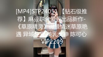 [MP4]STP24051 【钻石级推荐】麻豆联合爱豆出品新作-《草原精灵》微醺情迷草原艳遇 异域性爱 美乳女神 陈可心 VIP2209