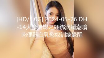 [HD/1.0G] 2024-05-26 DH-14大像传媒之綑綁滴蠟潮噴肉便器白乳慾奴訓練覺醒