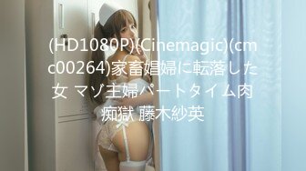 (HD1080P)(Cinemagic)(cmc00264)家畜娼婦に転落した女 マゾ主婦パートタイム肉痴獄 藤木紗英