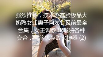 强烈推荐，技术型露脸极品大奶熟女【惠子阿姨】目前最全合集，女王调教3P啪啪各种交合，风韵犹存败火神器 (2)