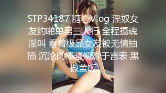 STP34187 糖心Vlog 淫奴女友约啪单男三人行 全程摄魂淫叫 看着极品女友被无情抽插 沉沦肉棒骚媚难于言表 黑椒盖饭