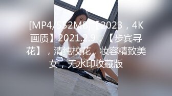 [MP4/552MB]【2023，4K画质】2021.2.9，【步宾寻花】，清纯校花，妆容精致美女，无水印收藏版