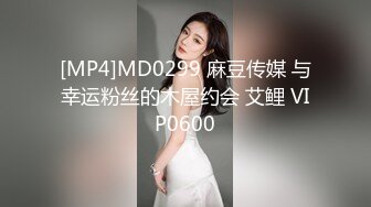 [MP4]MD0299 麻豆传媒 与幸运粉丝的木屋约会 艾鲤 VIP0600