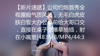 -性爱剧情新作XSJ160《美丽新世界2不可亵玩的组长胸部》办公室的淫乱高潮