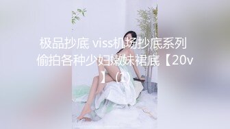 极品抄底 viss机场抄底系列 偷拍各种少妇嫩妹裙底【20v】 (1)