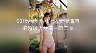 91极品巨乳风骚人妻操逼自拍超级大合集～第二季