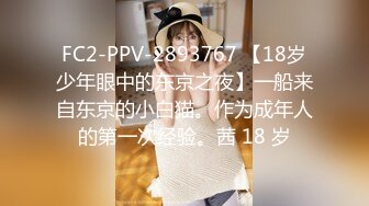 大像传媒之輕熟女家政婦的淫蕩誘惑-LENA莉娜