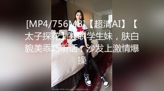 金发蓝眼睛的斯凯需要在她的大型演讲之前放松一下。在那里，她遇到了阿丽娜和她的男朋友，他们使用掌上电脑