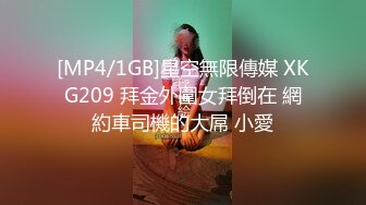 会所的骚B