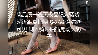 麻豆传媒 兔子先生监制 TZ098 与人妻的一天 增田枫