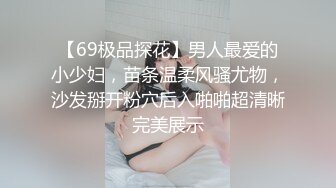 【69极品探花】男人最爱的小少妇，苗条温柔风骚尤物，沙发掰开粉穴后入啪啪超清晰完美展示