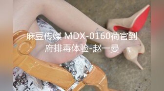 麻豆传媒 MD-0299 麻豆女神与幸运粉丝的木屋约会