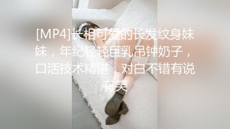 [MP4]长相可爱的长发纹身妹妹，年纪轻轻巨乳吊钟奶子，口活技术精湛，对白不错有说有笑