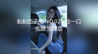 黏黏团子兔 NO.029 咬一口兔娘 放课后