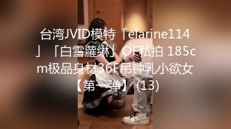 台湾JVID模特「elarine114」「白雪蘿綝」OF私拍 185cm极品身材36F吊钟乳小欲女【第一弹】 (13)