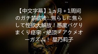 【中文字幕】1ヵ月＋1周间のガチ禁欲後…焦らしに焦らして性欲大解放！感度バグりまくり痉挛・絶顶・アクメオーガズム！ 星乃莉子