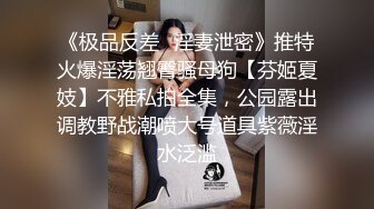 《极品反差✿淫妻泄密》推特火爆淫荡翘臀骚母狗【芬姬夏妓】不雅私拍全集，公园露出调教野战潮喷大号道具紫薇淫水泛滥