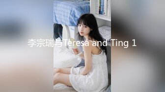 李宗瑞与Teresa and Ting 1