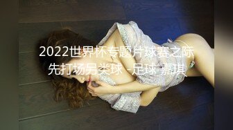 2022世界杯专题片球赛之际先打场另类球 -足球 嘉琪