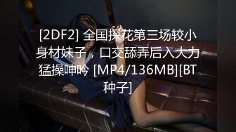 [2DF2] 全国探花第三场较小身材妹子，口交舔弄后入大力猛操呻吟 [MP4/136MB][BT种子]