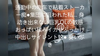 通勤中の电车で粘着ストーカー痴●集団に狙われた私… 身动き出来ない巨乳OLの敏感おっぱい揉みイカせぶっかけ中出しサイレント轮● 葵いぶき