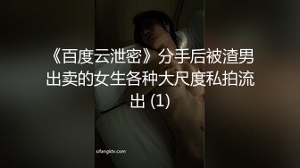 身为一日女仆，服务员也很合理吧？差点玩坏欸…我是说我被玩坏了