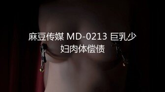 麻豆传媒 MD-0213 巨乳少妇肉体偿债