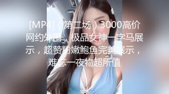 [MP4]（第二场）3000高价网约外围，极品女神一字马展示，超赞粉嫩鲍鱼完美展示，难忘一夜物超所值