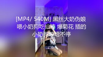 [MP4/ 540M] 黑丝大奶伪娘 喂小奶狗吃仙棒 爆菊花 插的小奶狗哼哈不停