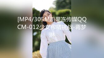 12号-女仆装要求深一点