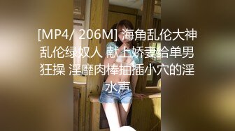 STP24720 重磅推荐，久违的3P场，24岁苗条小姐姐，情趣黑丝C罩杯美腿，前插后捅好不快活