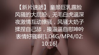 亚洲不卡成人网在线看