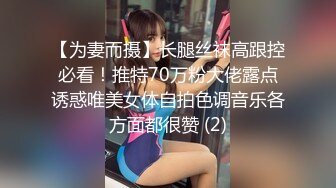 【为妻而摄】长腿丝袜高跟控必看！推特70万粉大佬露点诱惑唯美女体自拍色调音乐各方面都很赞 (2)