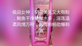 极品欲女【南方联合国际体模】平安夜约炮铁粉停车场偷情野战，美乳大长腿一字马站炮，战况激烈超刺激.