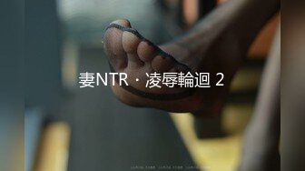 妻NTR・凌辱輪迴 2