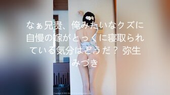 なぁ兄贵、俺みたいなクズに自慢の嫁がとっくに寝取られている気分はどうだ？ 弥生みづき